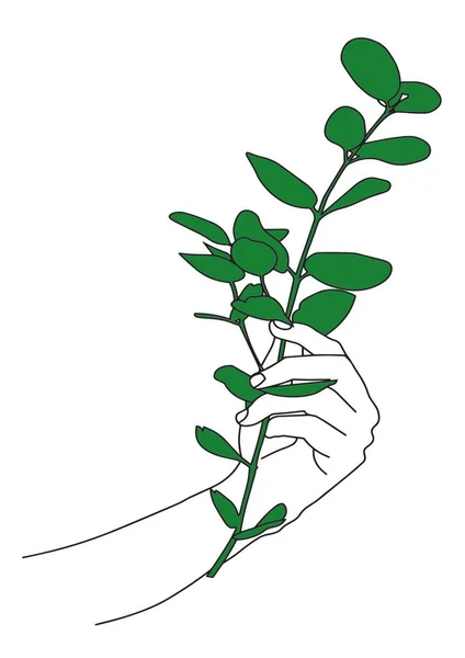 Line Art Abstract Illustration Icons Hand Holding Plant — Stock Fotó