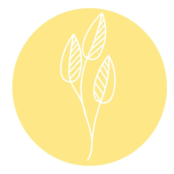 Silhouette. Collection hand drawn, botanical and healing isolated plants.Herbs design template.Twigs and leaves with abstract colorful forms