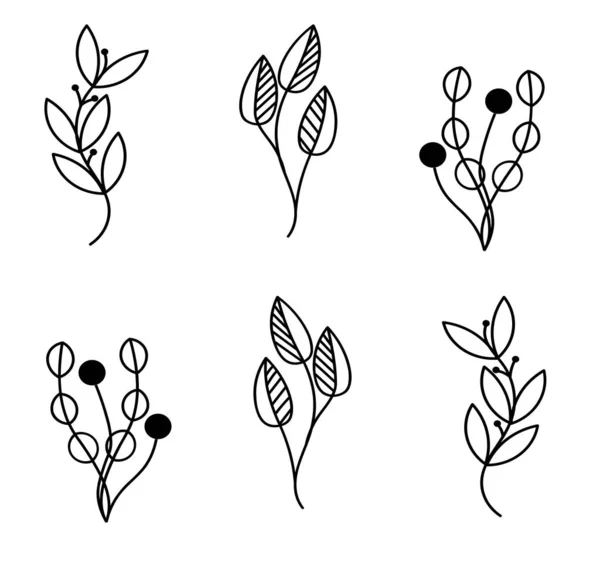 Set Abstract Plants Silhouette Collection Hand Drawn Botanical Healing Isolated — Stock fotografie