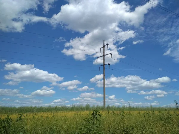 Countryside. Blue sky and green field.