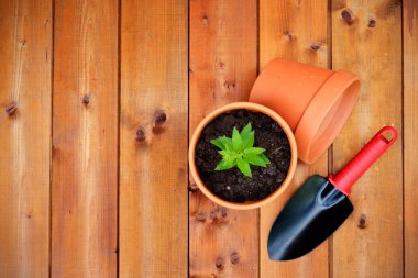 Bahçe aletleri ve eski ahşap zemin üzerinde nesneleri