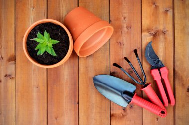 Bahçe aletleri ve eski ahşap zemin üzerinde nesneleri