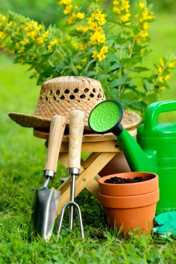 yeşil renkli ve çim Bahçe aletleri