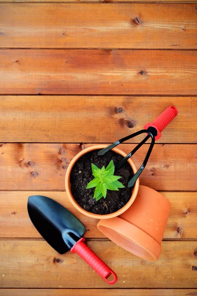 Attrezzi di giardinaggio e oggetti su sfondo vecchio di legno — Foto Stock