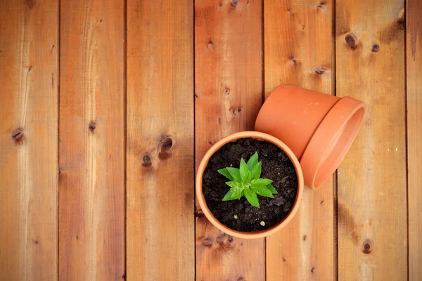 Tuingereedschap en objecten op oude houten achtergrond — Stockfoto