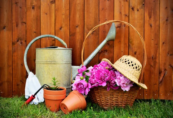 Attrezzi di giardinaggio e oggetti su sfondo vecchio di legno — Foto Stock