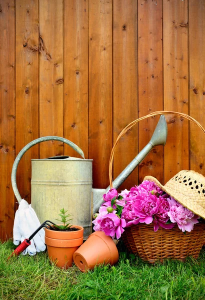 Gartengeräte und Objekte auf altem Holzgrund — Stockfoto