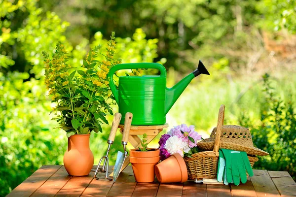Gardening tools on green background and grass — Stock Photo, Image