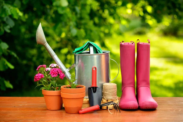 Gartengeräte auf Holztisch und grünem Hintergrund — Stockfoto