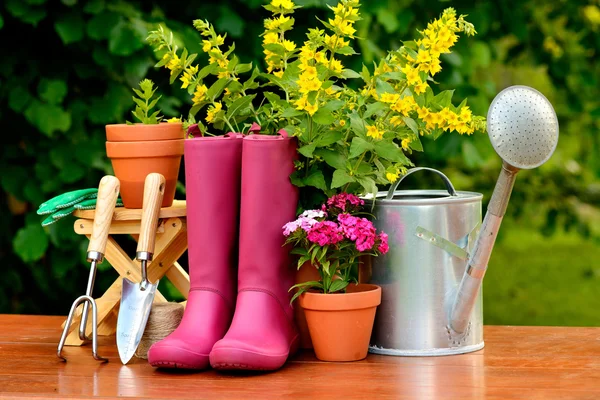 Narzędzia ogrodnicze na drewnianym stole i tło zielony — Zdjęcie stockowe