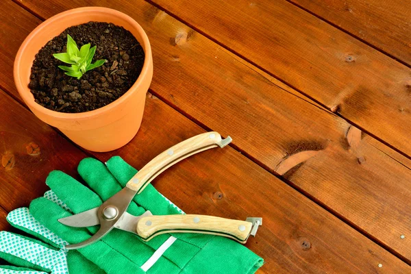 Close-up gardening tools and objects on old wooden background with copyspace — Stock Photo, Image