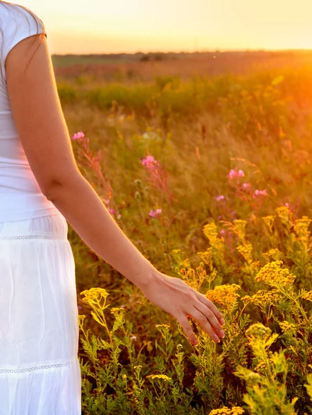 Ung kvinna hand i fältet på sunset — Stockfoto