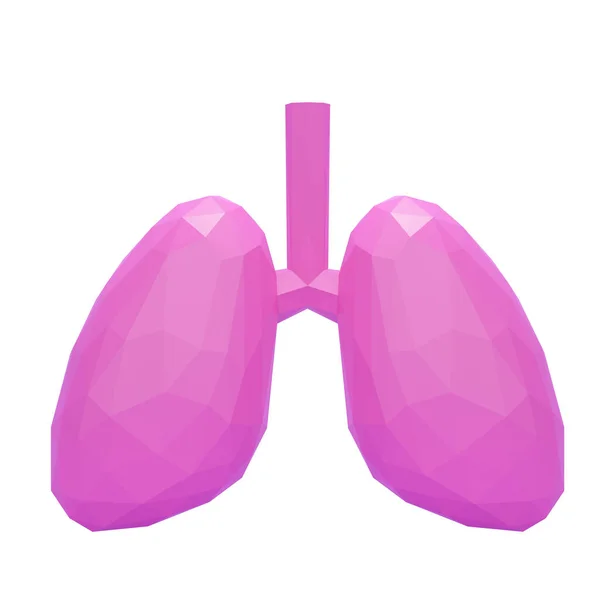Ροζ χαμηλό πολυ πνεύμονα όργανο απομονώνονται σε λευκό φόντο. 3d απόδοση — Φωτογραφία Αρχείου