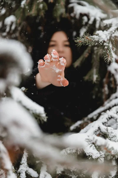 Foto Una Niña Pie Sobre Fondo Árbol Coníferas Bosque Cerrada — Foto de Stock