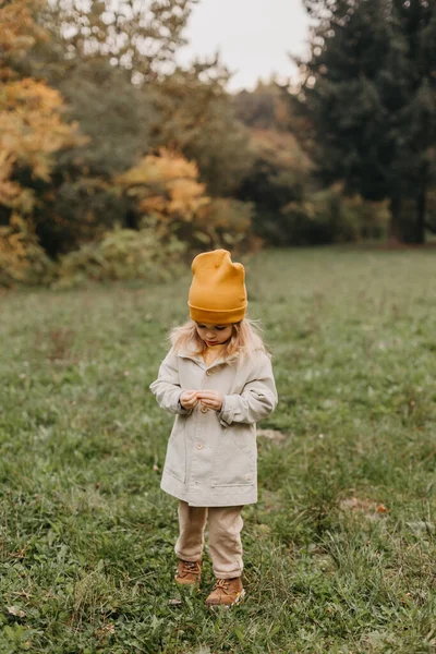 Herbststimmung Porträt Eines Kleinen Süßen Mädchens Das Herbstlichen Park Spaziert — Stockfoto