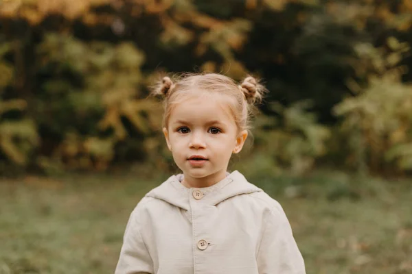 Sonbahar Parkında Yürüyen Küçük Tatlı Bir Kızın Portresi — Stok fotoğraf