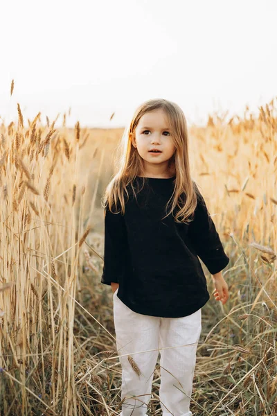 Uma Menina Vestido Elegante Andando Campo Trigo Maduro Nos Raios — Fotografia de Stock