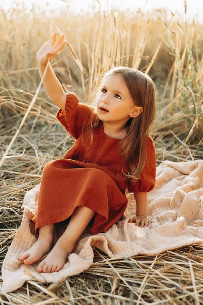 Дівчина Стильній Сукні Ходить Полі Стиглої Пшениці Променях Сонця Встановлюється — стокове фото