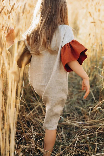 Дівчина Стильній Сукні Ходить Полі Стиглої Пшениці Променях Сонця Встановлюється — стокове фото