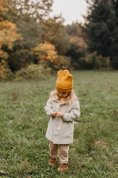 Retrato Uma Menina Bonito Pouco Andando Parque Outono — Fotografia de Stock