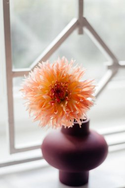 photo of a bouquet created from wild fresh spring flowers photographed on a white background in daylight, flowers for cut out white background
