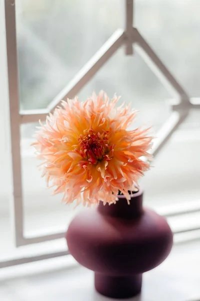 Foto Buquê Criado Partir Flores Frescas Selvagens Primavera Fotografadas Fundo — Fotografia de Stock