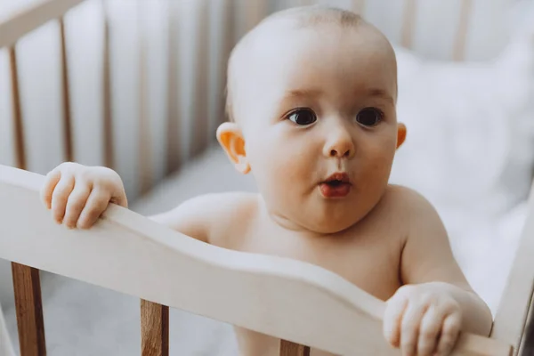 Cândido Tiro Bebê Bebê Seis Meses Idade Berço Segurando Para — Fotografia de Stock