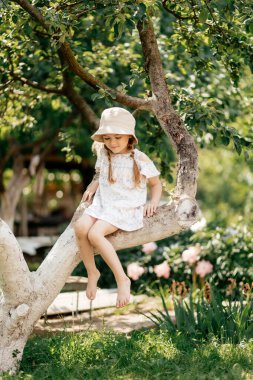 Küçük kız yaz bahçesinde ağaca tırmanıyor. Ağaç dalında küçük bir kız, çocukluk. Tatil, aktivite, yaşam tarzı. Çocuk modası, tarz, güzellik çocukluk gençliği büyümesi