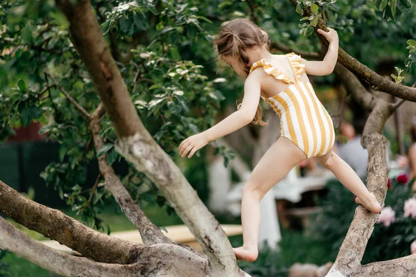 Small girl climb tree in summer garden, activity. Little girl on tree branch, childhood. Vacation, activity, lifestyle. Kid fashion, style, beauty Childhood youth growth