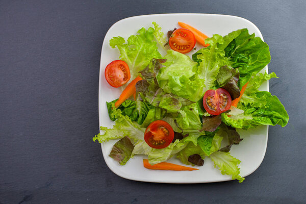 Healthy vegetable salad of fresh tomatoes,lettuce,carrot on plate. Diet menu. 