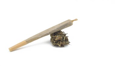 Cannabis cigarettes and marijuana flowers on a white background with copyspace and clipping path.
