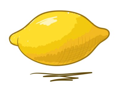 Suluboya limon. Vektör illüstrasyonu