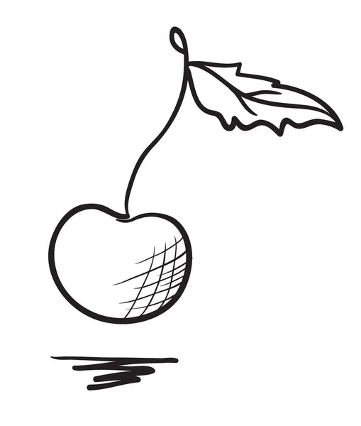 Hand Drawn Cherry Illustration — Stock Vector