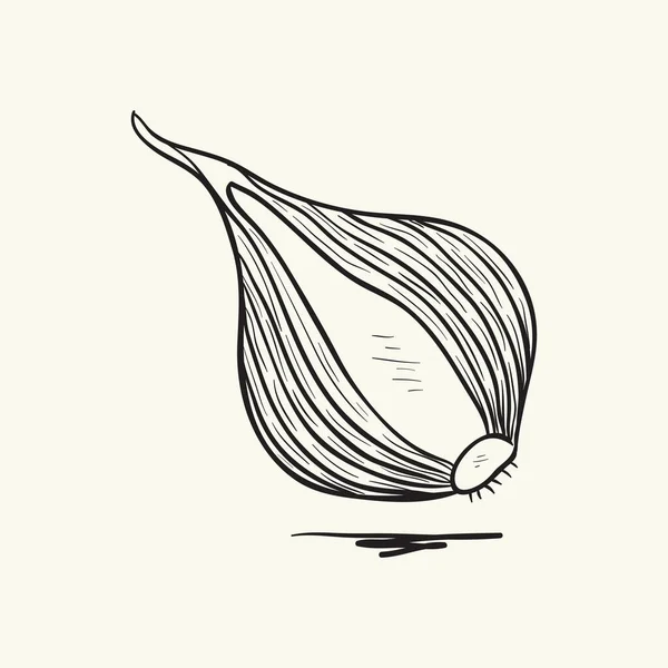 Onion Half Black White Sketch Vector Illustration — Vector de stock