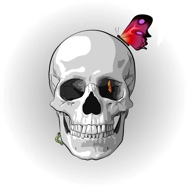 Rebirth of a caterpillar into a chrysalis and a butterfly against the background of a skull