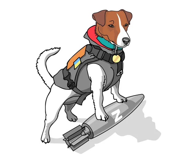 Service dog sapper from Ukraine found an unexploded shell