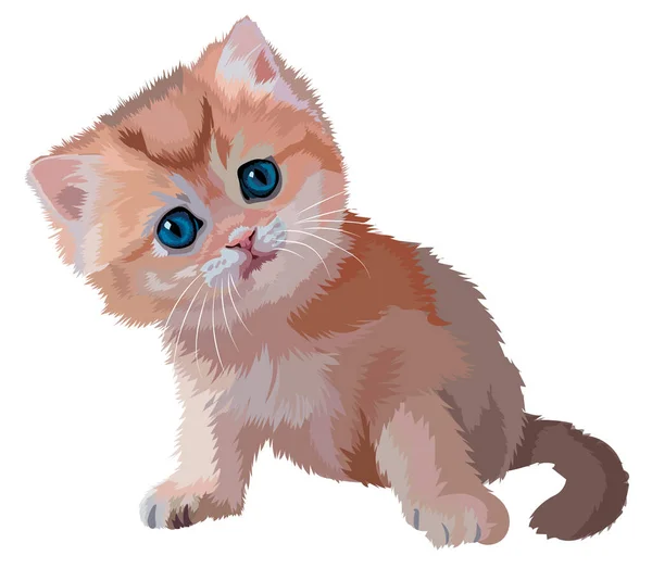 cute little kitten sits and looks into the eyes with a plaintive look isolated on white background