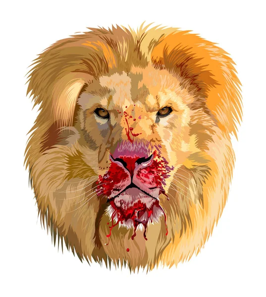 Tête Lion Avec Museau Sanglant Sur Fond Transparent — Image vectorielle