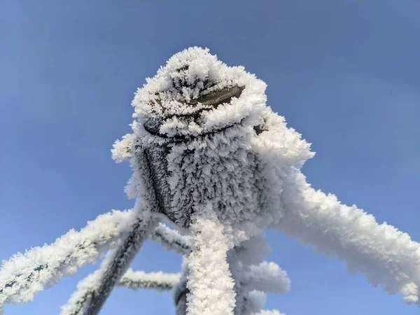 Árboles Nieve Invierno Helado — Foto de Stock