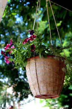 Sonbahar Yaprakları