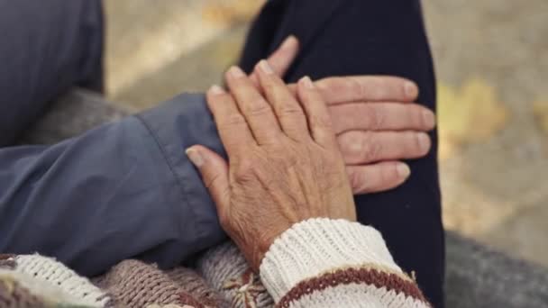 Elderly couple holding hands while sitting outdoors. Close up natural light — Stock Video