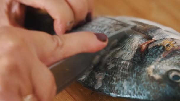 Vrouw met een verse vis ontkalken met behulp van een scherp mes - Chef-kok ontkalken van vis — Stockvideo