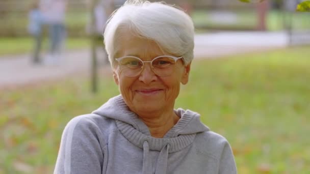 Happy retirement concept. Elderly european grey-haired grandmother nodding and smiling at camera. — Stock Video