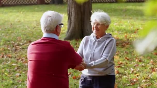 Двое пожилых пенсионеров крутятся, играют друг с другом, сближаются. Концепция счастливого старого брака. — стоковое видео