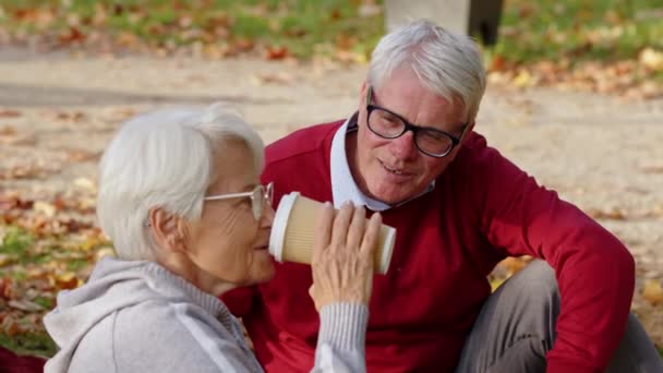 Пожилая леди устраивает пикники, пьет кофе на вынос и слушает своего болтливого мужа. — стоковое видео