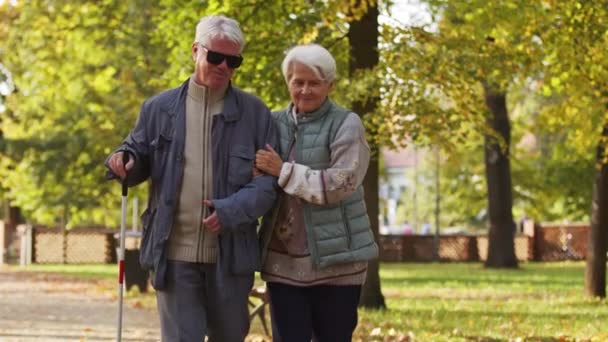 Пожилой слепой кавказский мужчина болтается со своей поддерживающей женой в парке. — стоковое видео