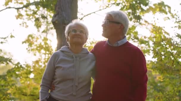Két fehér hajú nyugdíjas sétál a parkban, megölelik egymást, és az életről beszélnek.. — Stock videók