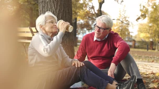 Два кавказских пожилых человека наслаждаются пенсией и устраивают пикник в парке. — стоковое видео