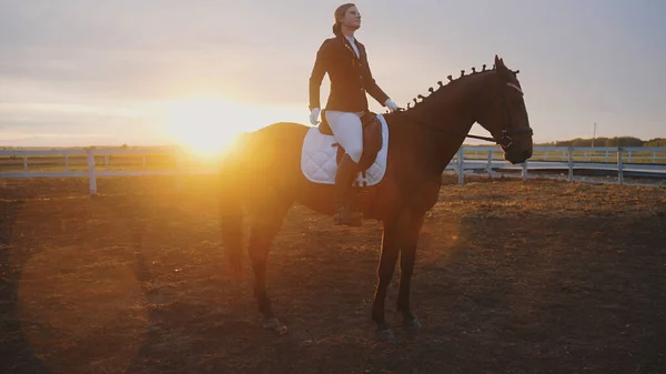 Uma mulher bonita nova está sentada em um cavalo, e atrás dela é o por do sol — Fotografia de Stock