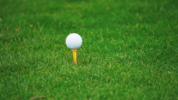 Warsaw, Poland, 09.29.2021 golf ball and tee on golf green course — Stock Photo, Image